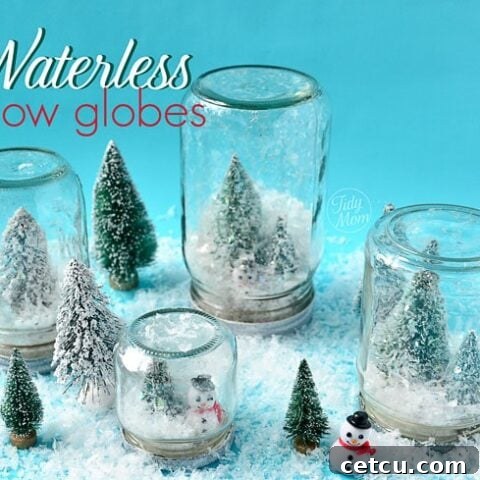 A charming display of waterless snow globes, showcasing various sizes and miniature scenes.