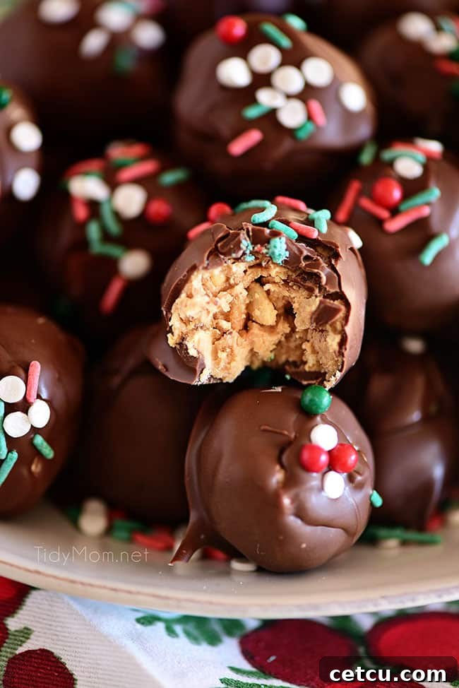Delicious chocolate peanut butter balls adorned with festive Christmas sprinkles, a perfect no-bake holiday treat.