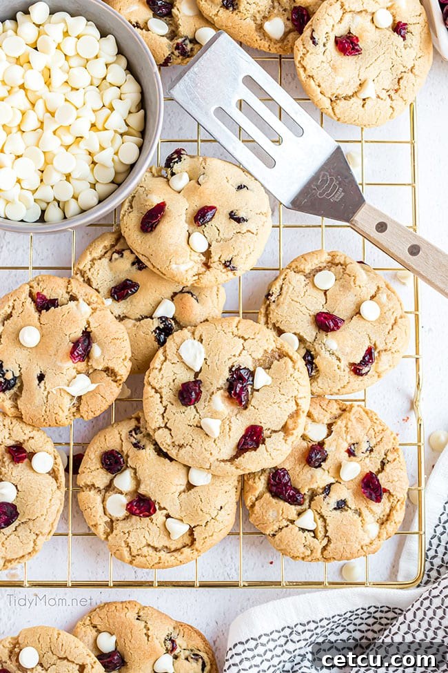 Delicious cranberry cookies presented on a golden cooling rack with a spatula, ready for serving.