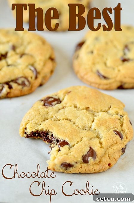 The Best Chocolate Chip Cookie Recipe from TidyMom, showcasing a perfect golden-brown cookie.