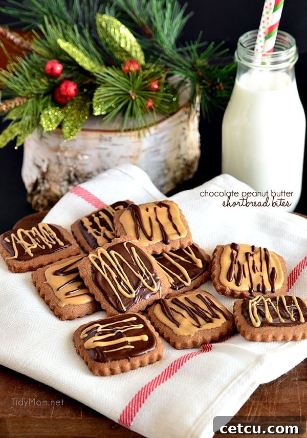 Delicious Chocolate Peanut Butter Shortbread Bites, a delightful cookie recipe from TidyMom.net.