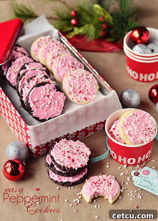 Festive peppermint cookies by TidyMom, perfect for the holiday season.