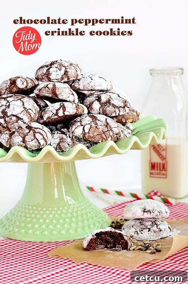 Delicious Chocolate Peppermint Crinkle Cookies, a festive treat perfect for the holidays.