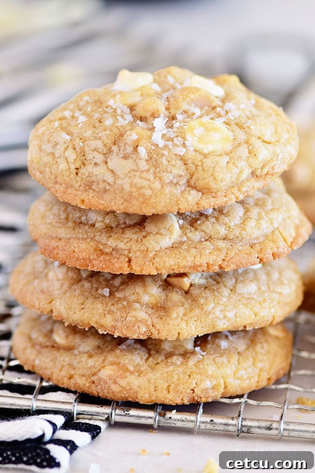 A beautifully arranged stack of four White Chocolate Macadamia Nut Cookies, highlighting their delicious texture and ingredients.
