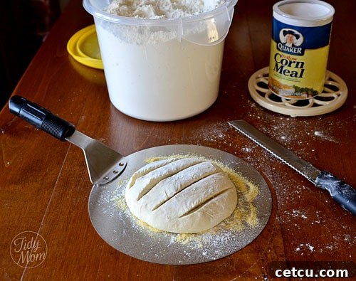 Simple four-ingredient bread dough prepared in a bowl, ready for the first rise. Discover how easy it is to make artisan bread at home.