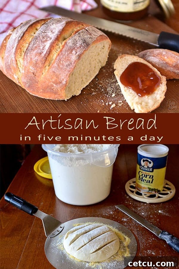 A collage of images showcasing the process of making artisan bread in five minutes a day, from dough preparation to the final baked loaf, perfect for pinning.
