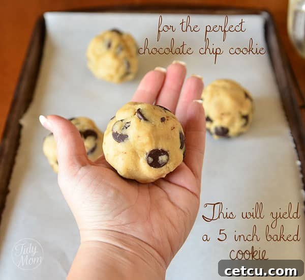 A single, perfectly baked, large chocolate chip cookie on a cooling rack, showcasing its golden edges and melted chocolate chunks.