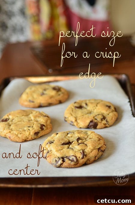 A hand holding up one of the large, perfectly sized chocolate chip cookies, demonstrating its impressive scale and inviting texture.