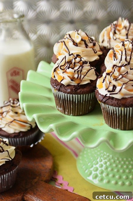 Baileys Irish Cream Cupcakes with chocolate and caramel drizzle, perfect for dessert lovers.