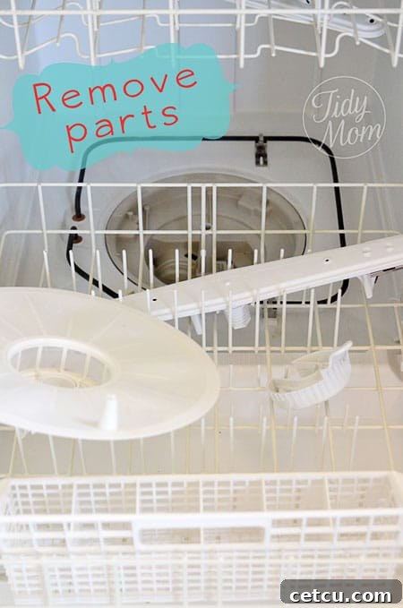 Essential tools and ingredients for cleaning a dishwasher