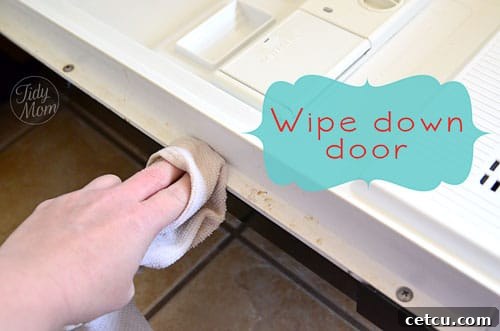 Sparkling clean dishwasher interior after a deep cleaning session