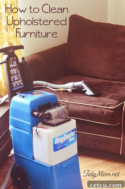 Comprehensive guide on cleaning various types of upholstered furniture with expert techniques