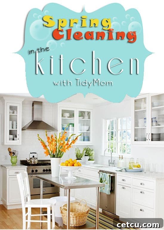 A pristine, bright kitchen corner, symbolizing a perfectly spring-cleaned kitchen ready for a health inspection