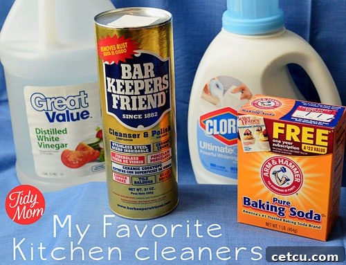 A collection of essential kitchen cleaning products: Distilled White Vinegar, Bar Keepers Friend, Bleach, and Baking Soda.