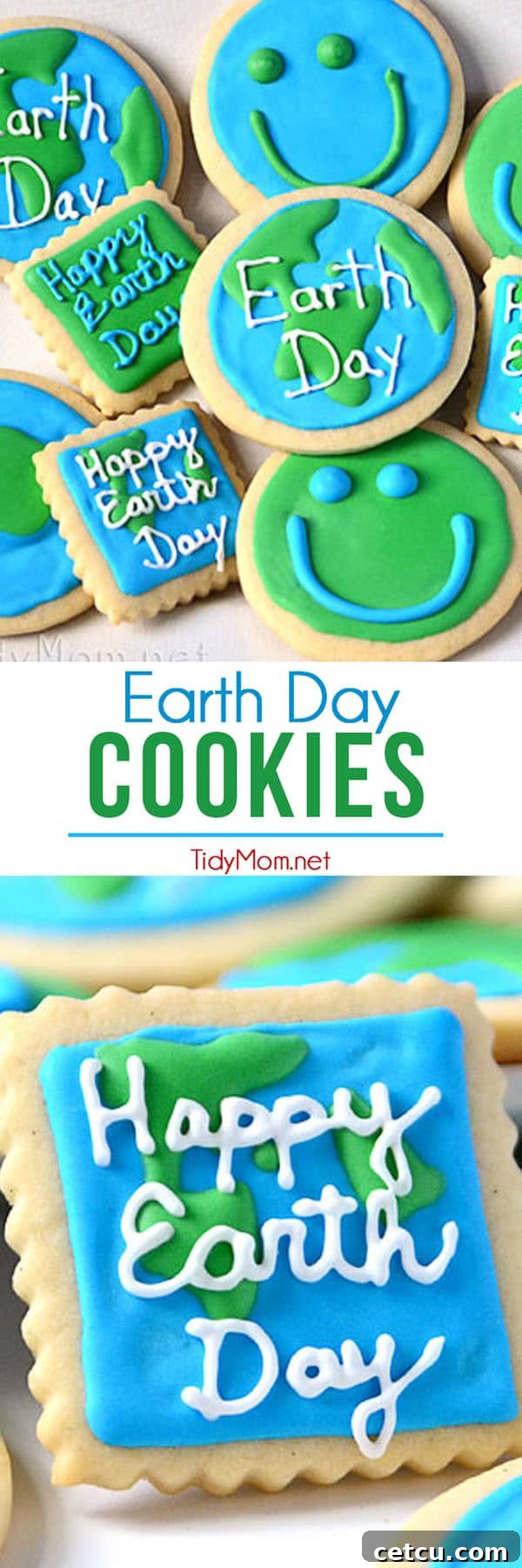 Earth Day's Sweet Planetary Picnic 4 Earth Day Cookies at TidyMom.net