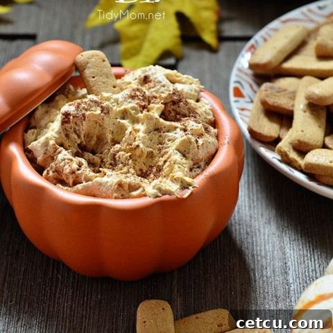 Pumpkin Fluff is a creamy, fluffy favorite fall treat. Serve with graham crackers or stuff into a cannoli shell or just dig in with a spoon. It’s full of fiber, and if you use sugar-free/ fat-free pudding mix, Cool Whip Lite and 1% milk it’s a low cal treat you don’t have to feel guilty eating! Pumpkin Fluff Dip Recipe and video at TidyMom.net