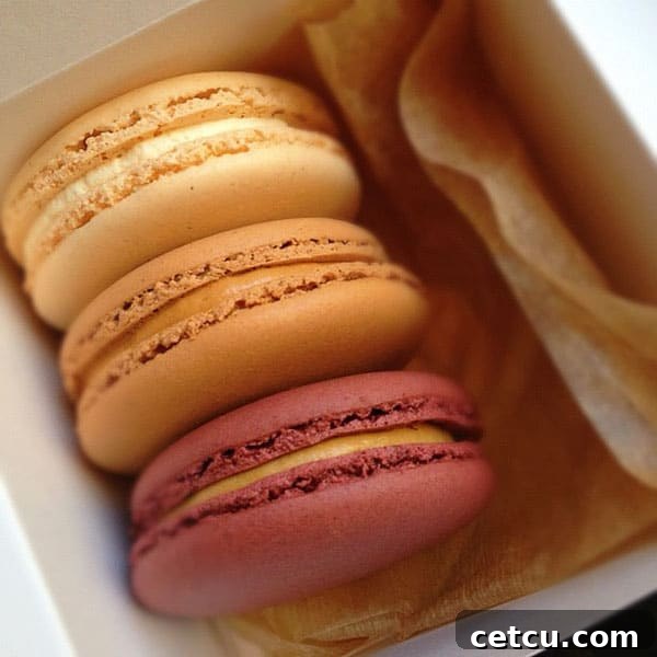 NYC macarons by Amanda Bottoms, a vibrant display of colorful French pastries at Bouchon Bakery, showcasing their delicate artistry and inviting textures.