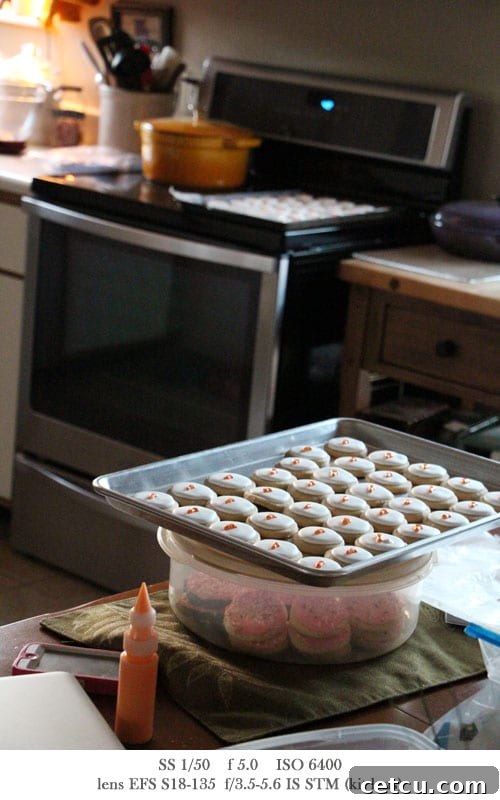 Cookie Decorating in my kitchen - High ISO performance of Canon T4i