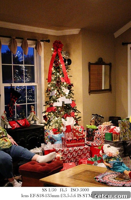 Christmas Tree 2012 - Captured with Canon T4i in low light