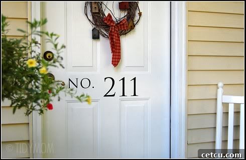 A beautifully cleaned front door enhancing curb appeal