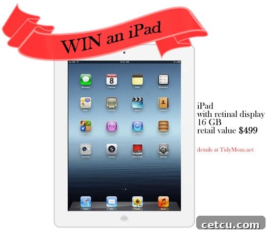Win an iPad with retina display from TidyMom blog