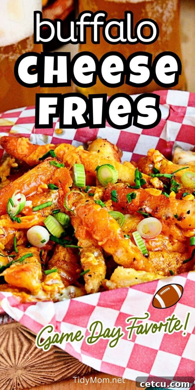 A close-up, top-down view of Buffalo Cheese Fries in a basket, emphasizing the melted cheese and sauce.