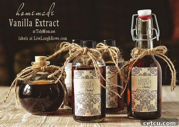 How to make Vanilla Extract TidyMom.net