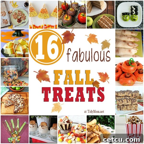 16 Fabulous Fall Treats at Tidy Mom.net
