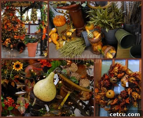 The beautifully decorated interior of Hillermann's Nursery, showcasing fall decor and a grand autumn tree display.