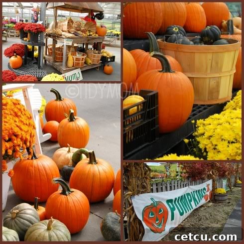 An elaborate and vibrant display of pumpkins, mums, and other fall decorations during Pumpkin Pandemonium.