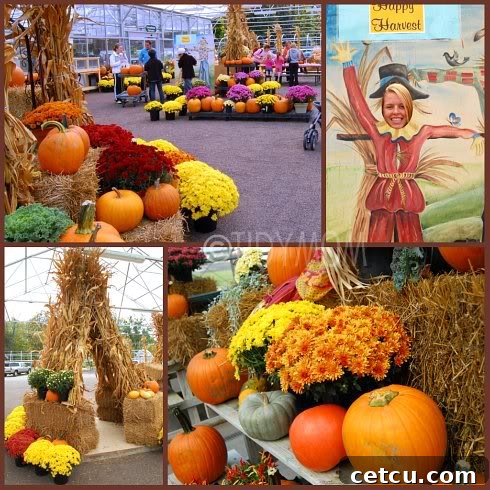 A lively outdoor scene at Hillermann's Pumpkin Pandamonium, showing families enjoying various fall activities like games and pumpkin selection.