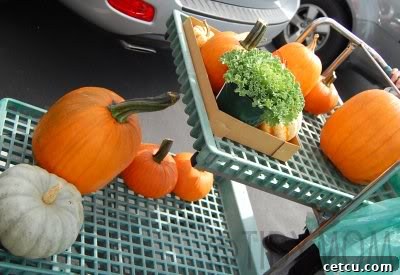 A cart filled with pumpkins and gourds, ready to be taken home and used for fall decorations.