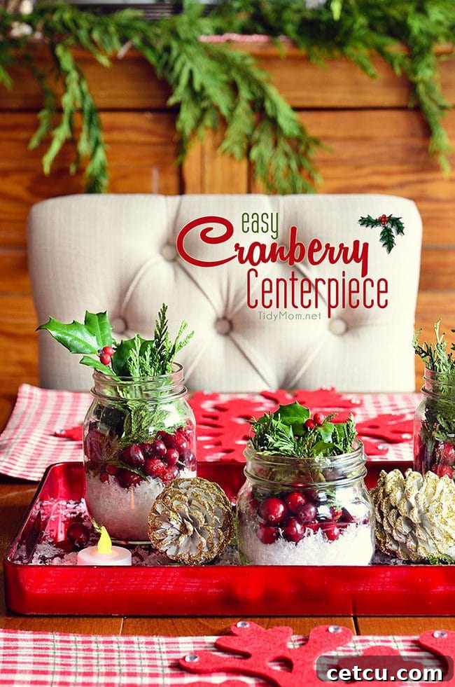 Easy Christmas Cranberry Centerpiece - details at TidyMom.net
