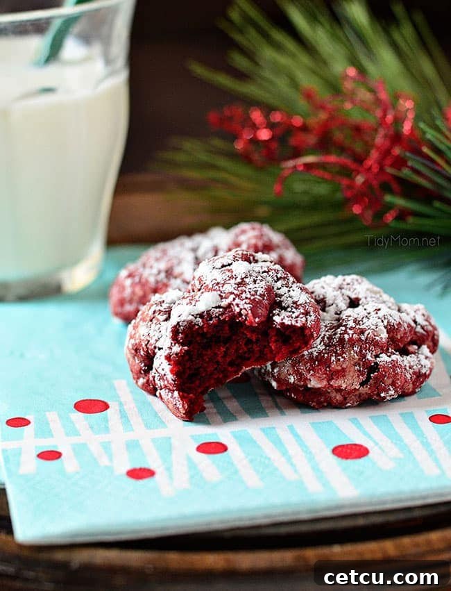 Close-up of baked Red Velvet Gooey Butter Cookies, perfectly crinkled and dusted with sugar