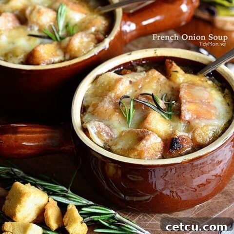 French Onion Soup Recipe at TidyMom.net