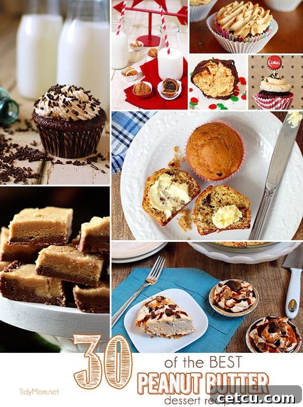 Peanut Butter Recipe Roundup Collection