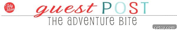 TidyMom Guest post featuring The Adventure-Bite blog.