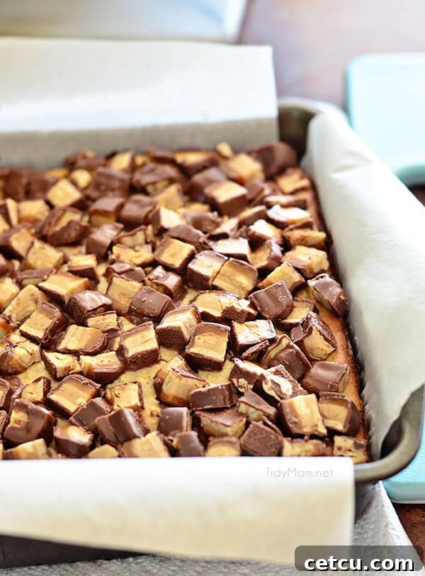 Peanut Butter Snickers Cheesecake Brownies with candy bar topping recipe at TidyMom.net