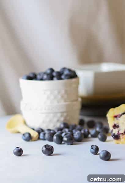 Blueberries