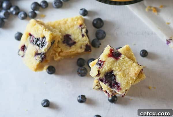 Blueberry Cobbler Bars recipe at TidyMom.net