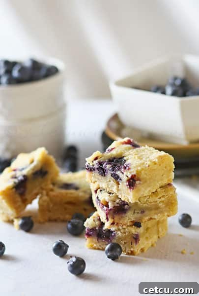 Blueberry Cobbler Bar recipe at TidyMom.net