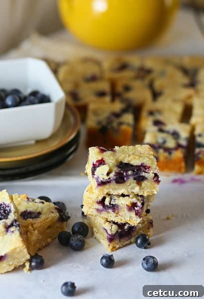 Blueberry Cobbler Bar recipe at TidyMom.net