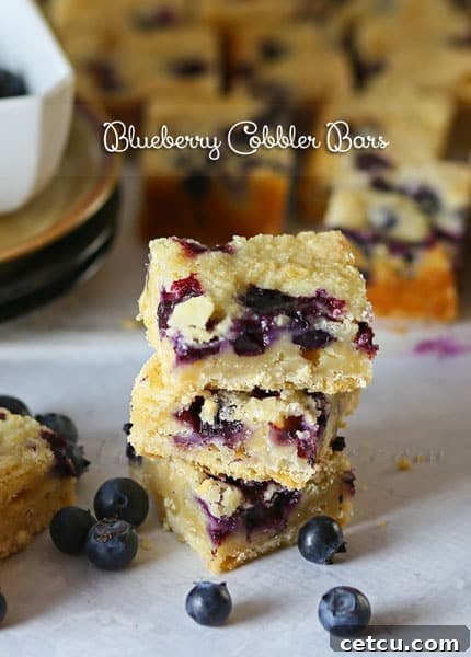 Blueberry Cobbler Bar recipe at TidyMom.net