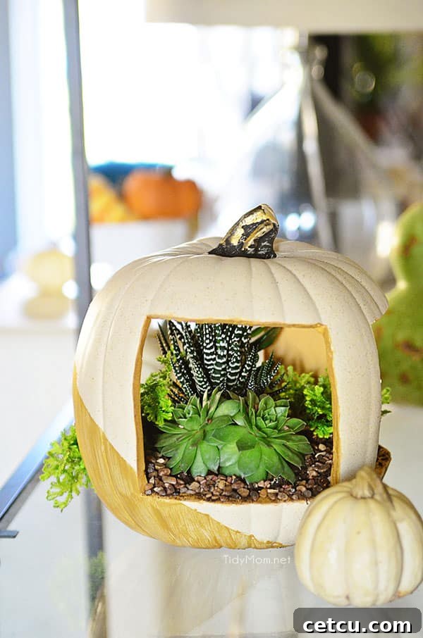 Easy & Elegant Succulent Pumpkin planter tutorial at TidyMom.net