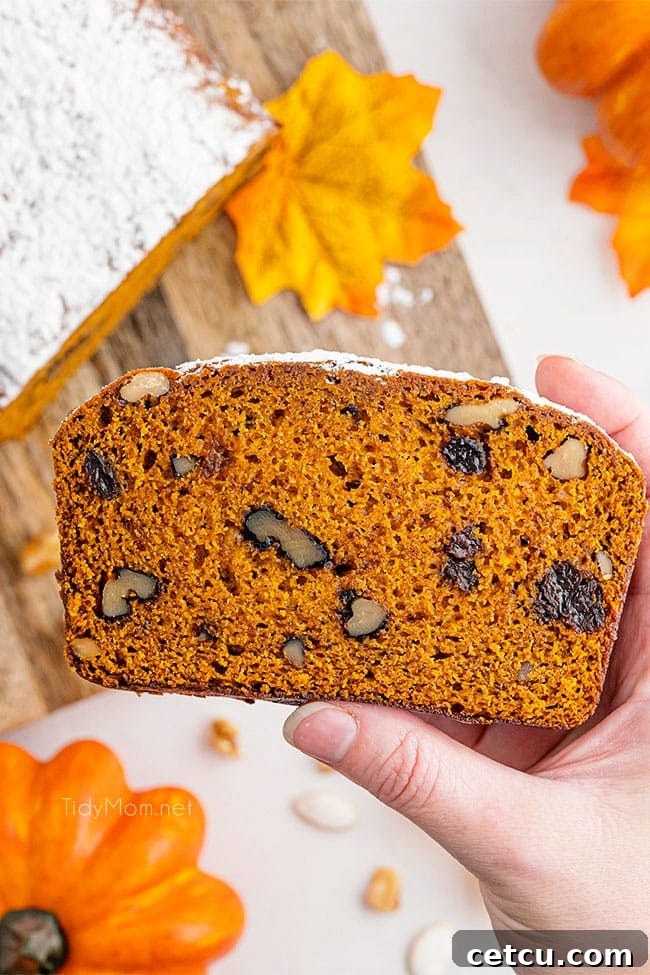 A woman's hand gently holds a perfectly baked slice of pumpkin bread, showing its moist texture and inviting aroma.