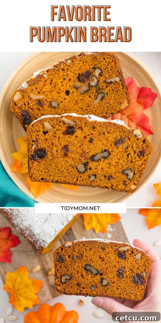 Several slices of perfectly baked pumpkin bread are arranged artfully on a plate, highlighting their moist texture and appealing color.