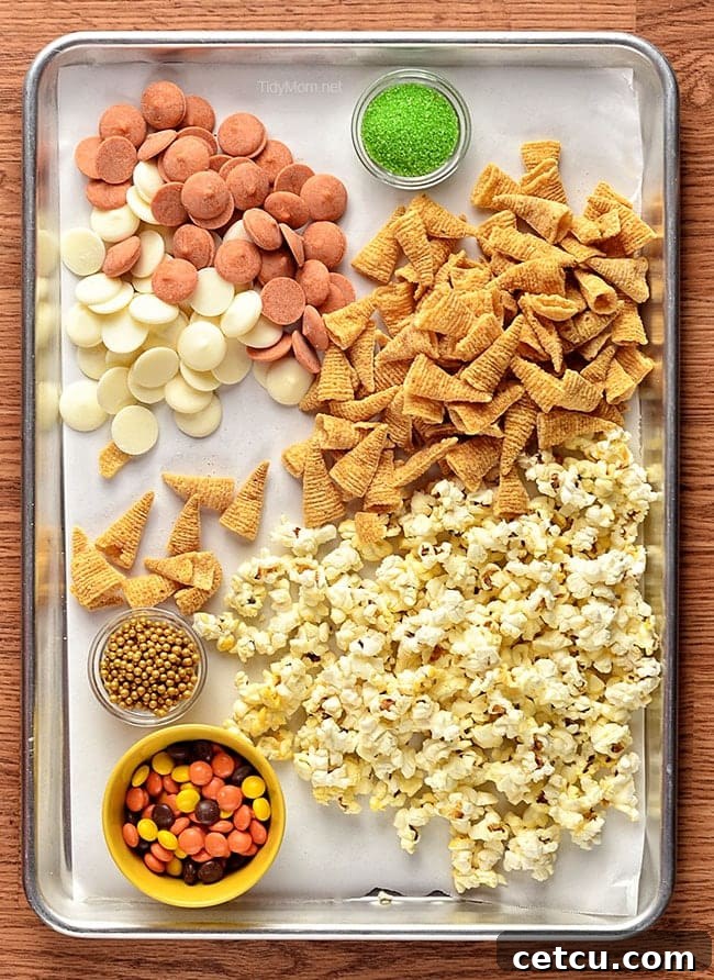 Popcorn Snack Mix