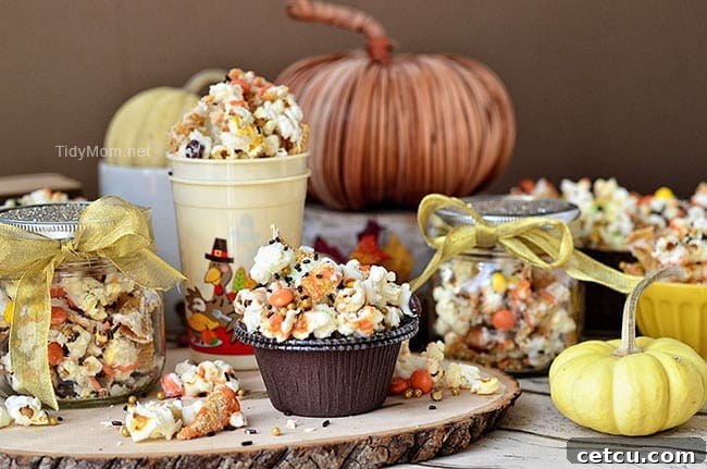 Fall Popcorn and Bugles snack mix recipe at TidyMom.net