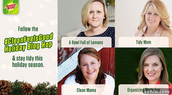 Clean Feels Good Blog Hop