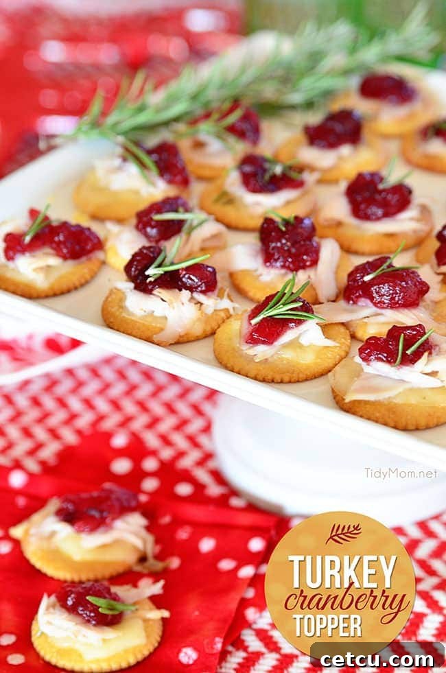 Transform holiday leftovers into a show stopping delicious appetizer. Turkey Cranberry Topper recipe at TidyMom.net